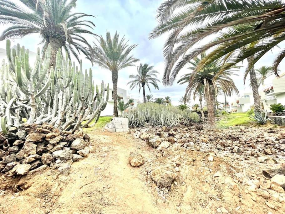 Apartamento Con Piscina Sur De Tenerife Costa Del Silencio Dış mekan fotoğraf